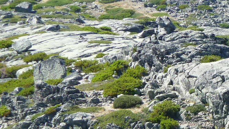 The Guild Restaurant in Dubai